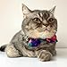 Cat Collar, 3-in-1 Cat Collar, Adjustable Cat Collar, Handmade Cotton Cat Collars, Bowtie & Ribbon Design Cat Collars,Floral Pattern