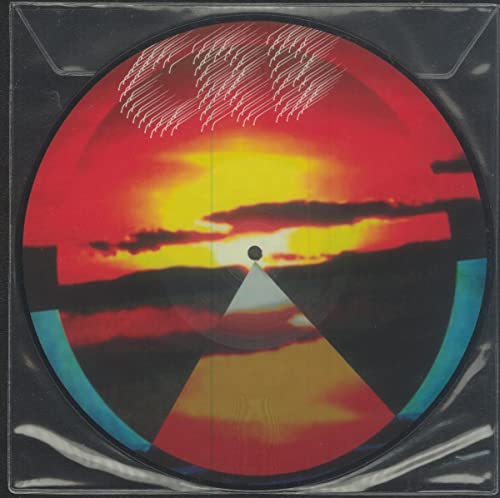 Album Art for Dice Game and Let It Fall (10") by CHRIS ROBINSON BAND CRB