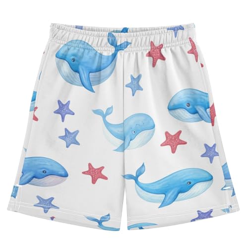 J JOYSAY Starfish Whale Blue Boys Athletic Shorts Kids Youth Casual Shotrs with Elastic Waistband Pockets