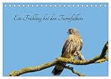 PERFEKTES GESCHENK - Kalender für Freunde und Familie, für Kinder und Erwachsene, jung und alt, zu Weihnachten, Geburtstag oder zwischendurch.