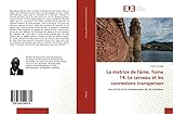La matrice de l'âme. Tome 14. Le cerveau et les connexions transperson: Vers la Foi et la connaissance de soi humaine