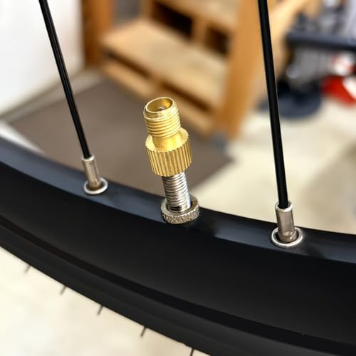 Bike Valve Adaptor, Needle Inflation Balloon Tire Pump Adapter Kitfor Most Types for Bikes, E-Bikes, and E-Scooters Inflate Tire Using Standard Pump or Air Compressor (6 Pcs)