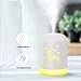 Produktbild Luftbefeuchter Tragbare Nachtlichtfunktion USB aufladbares zweistufiges Spray Geeignet für Heimbüro,C1