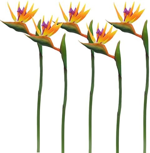 Calcifer 32'' Real Touch Bird of Paradise Artificial Flowers Bouquet for Home Garden Decoration/Wedding Party Decor Orange (Package Quantity: 5 Stems)