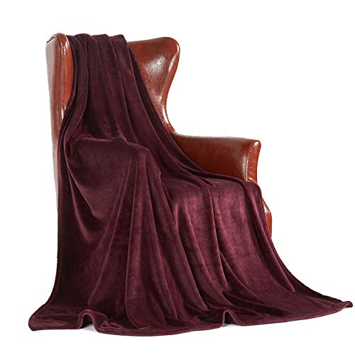 MERRYLIFE Throw Blanket for Couch | Decorative Ultra-Plush Colorful Oversized | Plush Travel Chair Blanket Throws | Large Size(60" 90",Fig