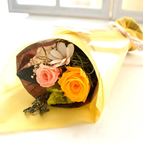 vU[uht[ ~j ԑP u[P v`u[P Mtg v[g  a j  AeB[N  킢 (CG[)