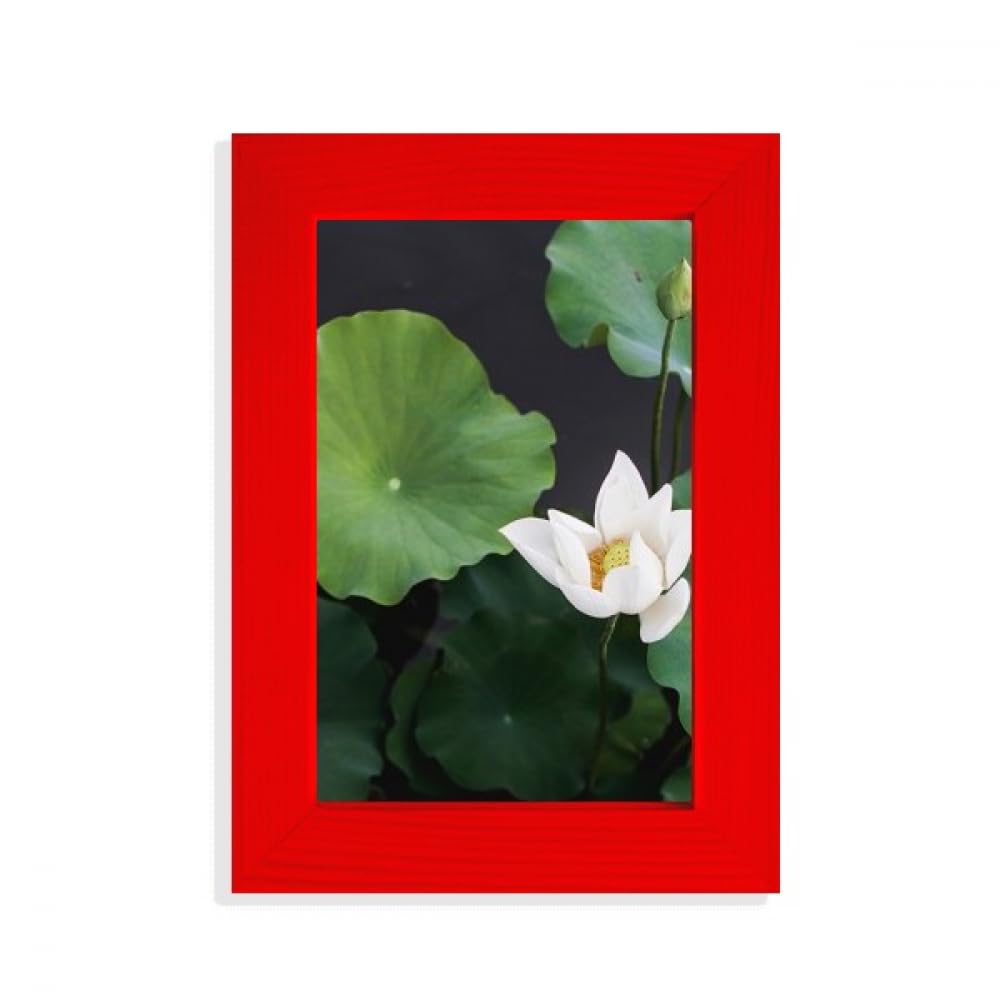 Cadre photo nature Fresh Lotus rouge pour valoriser vos souvenirs de famille