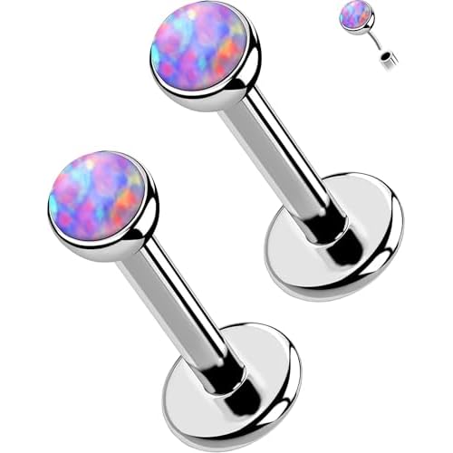 OUFER 2PCS 16G/20G Nose Lip Studs, G23 Solid Titanium Threadless Push in Nose Nostril Lip Labret Medusa Monroe Helix Cartilage Tragus Conch Lobe Piercing Jewelry for Women Men Silver bar,Pur