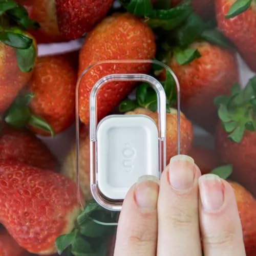 6 Organizador de Geladeira com Escorredor Interno - Caixa Plástica para Legumes, Saladas