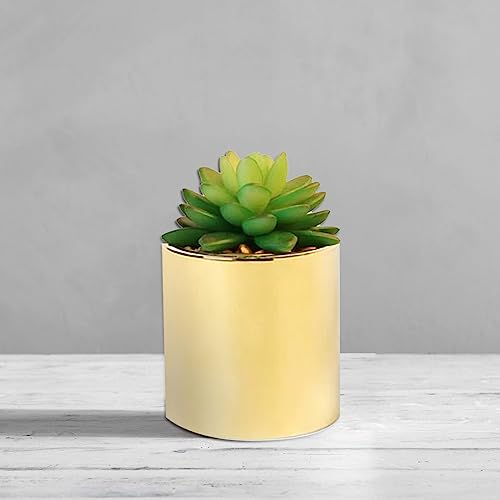 Faux-Succulent-Artificial-Plants-7-5-in-Pots-Home-Decoration-Set-of-2-Gold-Pots