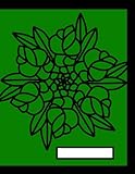 Photo Gallery green floral mandala composition notebook: an abstract floral mandala art work for everyday life - composition notebook - 120 blank lined pages - "8.5 x "11 inches Photo Gallery green floral mandala composition notebook: an abstract floral mandala art work for everyday life - composition notebook - 120 blank lined pages - "8.5 x "11 inches