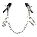 Bull Nose Stainless Steel Clamps with 12 inch Chain