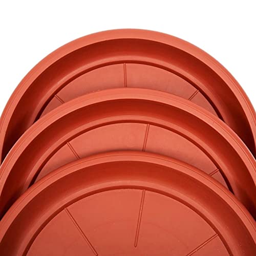 8-Pack Round Plastic Plant Saucer Drip Trays, Terracotta Flower Pot Saucers, Dish For Indoors, Outdoors, Garden, Potted Plants, Home, Patio, Tabletop Planter Base, Terra Cotta Plate Set (12-Inch) #TOP6