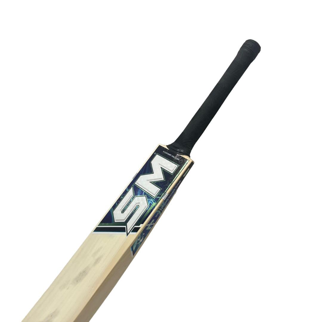 SM Big HIT Kashmir Willow