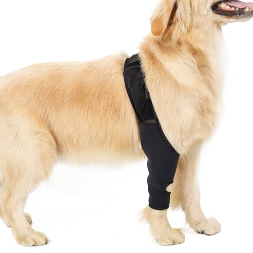 10 Best Luxating Patella Knee Brace For Dogs May 2024