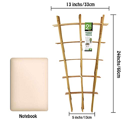 Mininfa SKUBL-02 Natural Bamboo Trellis 24 Inches Tall, Mininfa Garden Ladder Trellis, Plant For Climbing Plants, Vegetables, Pots thumb #5