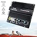 DriSentri 12V 600W Subwoofer Board Bass Module High Power Mono Channel Car Audio Amplifier Board, Powerful Bass Car Audio High Power Amplifier Amp Board