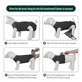 Kuoser Hundebody Nach Op Hündin Hundebody Nach Kastration Rüde Body für Hunde Nach Op, Atmungsaktiv Body Hunde Nach Op Rüde Op Body Hund Kastration Hündin, E-Halsband Alternative für Hund, Grau XL