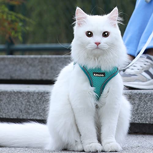 Image of AIITLE Dog Harness, No-Pull Cat Harness with a Leash, Adjustable Reflective Dog Vest, Cat Harness Escape Proof, Outdoor Walking, Running for Extra Small Dogs and House Cats Pure Turquoise XXXS