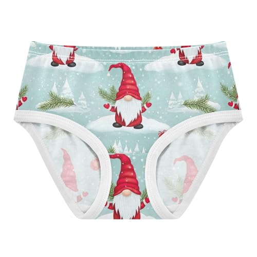 Toddler Underwear Floral 2t Cotton Panties Little Girl Fun Print Briefs Undies Kids Red Hats St