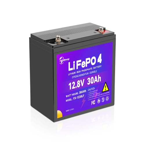 Image of 12V 30Ah Lithium Battery, Rechargeable LiFePO4 Battery with Built-in 30A BMS Board, 5000+ Deep Cycles, Higher Energy Density, for RVs, Van, Camping, Marine, Trolling Motor