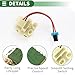 Motoforti HVAC Blower Motor Resistor Heater Blower Resistor for RENAULT CLIO II 2000-2009 Metal ABS No.7701057684 Beige