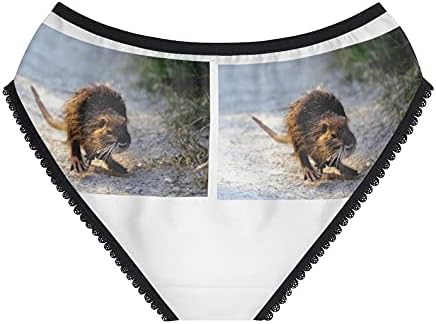 Coon Enjoying Panties, Coon Enjoying Underwear, Briefs, Cotton Briefs, Funny Underwear, Panties For Women