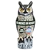 Dalen Large Fake Owl Decoy to Scare Birds Away - 16 in Hand-Painted Great Horned Owl Garden Scarecrow for Natural Pest Control - Fixed Head Design - Secure Upright by Filling with Sand/Gravel Only