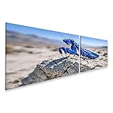 Design d'intérieur élégant pour n'importe quelle pièce - Un véritable accroche-regard pour le salon, la chambre à coucher, la cuisine, la chambre d'enfant, le bureau, le couloir ou le bureau. Créez votre ambiance de bien-être personnelle avec une œuvre d'art de qualité supérieure au format panoramique.