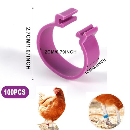 100pcs Rings, 20mm 5 Colors Numbered Chicken Leg Bands, Colorful Poultry Identification Leg Band, Plastic Clip-on Chicken Foot Ankle Ring Tag for Duck Pigeons Guinea Goose Gamefowl Turkey