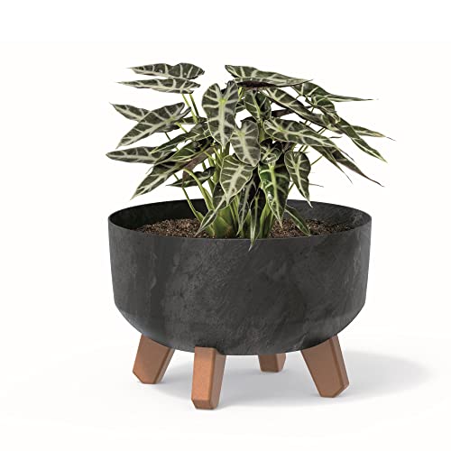 botle Bonsai Schale Baum Mini Garten Blumentopf an den Füßen Pflanzkübel D 23,5 cm Anthrazit Kunststoff Töpfe mit Einsatz Beton Optik Übertöpfe