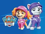 PAW Patrol Season 10