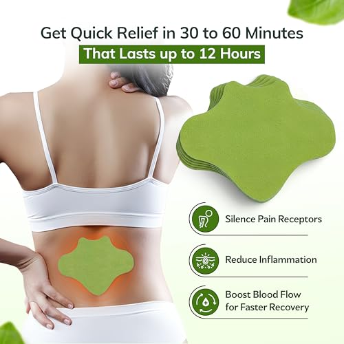 Image of FlexiBack Warming Herbal Back Pain Patches with 12-Hour Extra Strength & Adhesion - Bone-on-Bone, Spinal Joint Inflammation & Muscle Strain Support - 12 Heat Patches for Lower Back Pain Relief