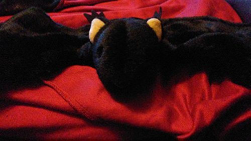 TY Beanie Baby - RADAR the Bat (4th Gen hang tag)