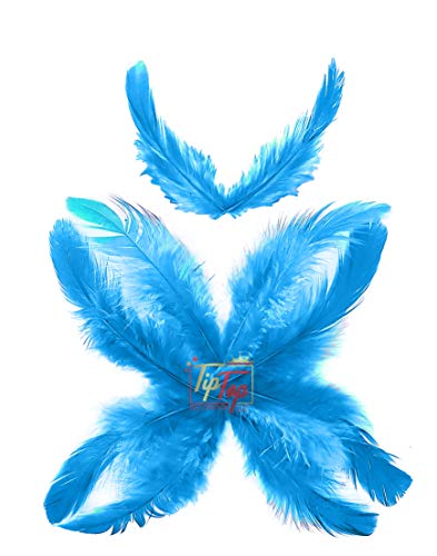 Image of Natural Dyed Feathers 10 cm (80 pieces) (Light Blue)