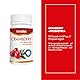 BestDiet - Cranberry + Probiotic - Nahrungsergänzungsmittel : Cranberry-Trockenextrakt : antibakterielle Eigenschaften - Packung mit 3 Gläsern und 30 Kapseln