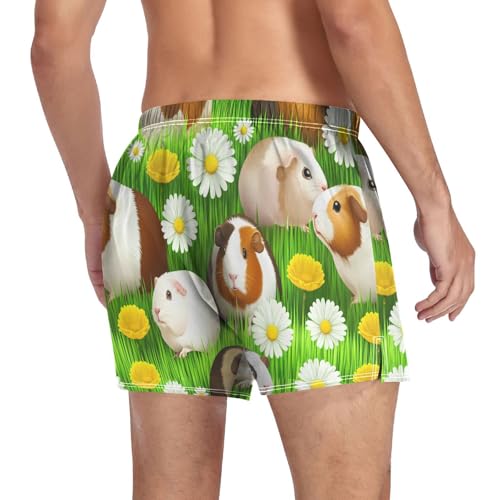 Guinea Daisies Meadow Men's Cotton Boxer Shorts Pajama Bottoms Sleep Shorts Underwear with Button Fly4