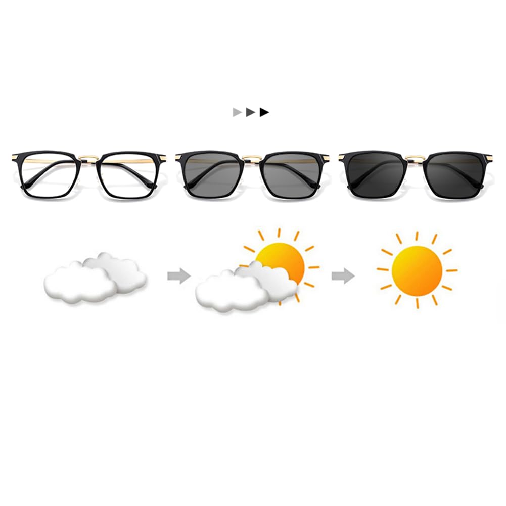 RICCIE Herren Progressiv Multifokal Anti-Blaulicht Leser, Photochrome Outdoor-HD-Sonnenbrille/UV-Schutz Dioptrie +1.0 bis +3.0,02,+1.5