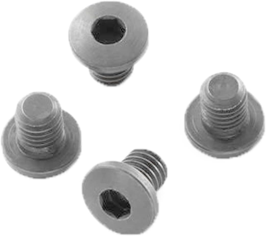 HogueGovt. and Officers Model Screws (4) Hex Head - Stainless Finish