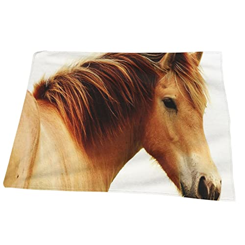 Kuscheldecke Decke Mähnepferd 17 Flauschige Weich Warm Fleecedecke Wohndecke Couchdecke Sofadecke, Plüsch Tagesdecke Decke Kuscheldecken, 125x150cm Cover