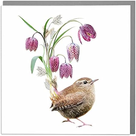 Lola Design - Wildlife Botanical Greeting Cards - Blank Cards and Envelopes - Wren Bird Animal Card