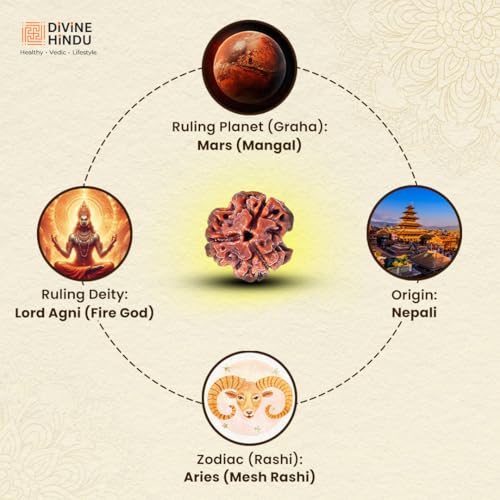 Image of Divine Hindu Original 3 Mukhi (Three Face) Indonesia Rudraksha | Teen Mukhi Rudraksh Bead for Meditation, Protection & Spiritual Growth | Natural Rudraksha for Men & Women | Prayer Bead for Success