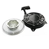 ponceuse excentrique parkside  Visseuse EX 493295 340063 BRIGGS & STRATTON