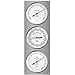 Produktbild Fischer 829-01 Außenwetterstation aus Edelstahl, Thermometer-Barometer-Echthaar Hygrometer, 430 x 150 mm