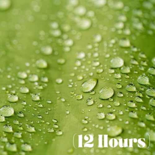 Rainforest Raindrops on Canvas Tarp | Sleep Sound (12 Hours) Podcast Por arte de portada