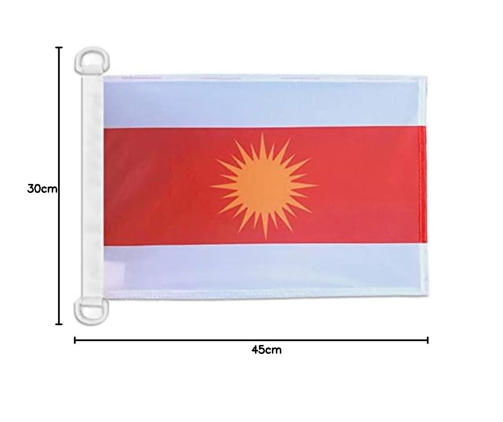 AZ FLAG Drapeau Provence 45x30 Cm – Maille Bloquée 110g/m², Anneaux Plastique, Usage Nautique, Résiste Au Vent