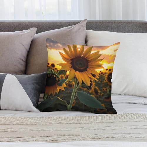 Housse de coussin tournesol en peluche double face douce