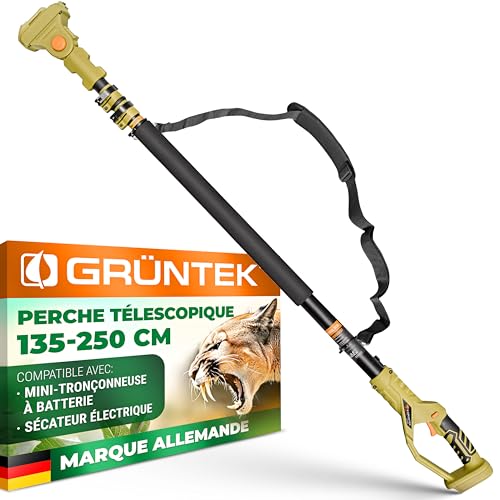 GRÜNTEK Scie Perche Télescopique – Rallonge Mini-Tronçonneuse et Rallonge Sécateur Électrique – Perche Tronçonneuse Aluminium 135-250 cm pour...