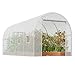 VEVOR Walk-in Tunnel Greenhouse, 14.6x6.4x6.3 ft Hoop House Greenhouse Tunnel, Plant Hot House with Galvanized Steel Frame, White PE Cover, Roll-up Zipper Door and 8 Windows for Outdoor