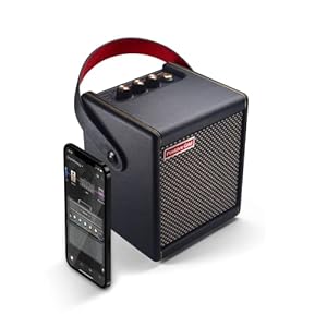 Positive Grid Spark MINI 10W Portable Smart Guitar Amp & Bluetooth Speaker with App for Playing Guitar at Home or Travel…